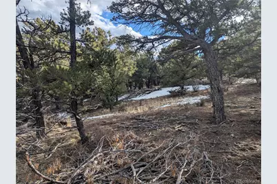 7831 Mallott Road, Fort Garland, CO 81133 - Photo 7