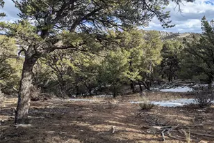 7831 Mallott Rd, Fort Garland, CO 81133 - Photo 1