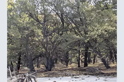 7831 Mallott Road, Fort Garland, CO 81133 - Photo 11