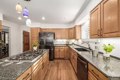 7057 Chestnut Hill Street, Highlands Ranch, CO 80130 - Photo 13