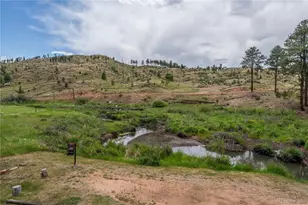 15970 Willow Way, Woodland Park, CO 80863 - Photo 35