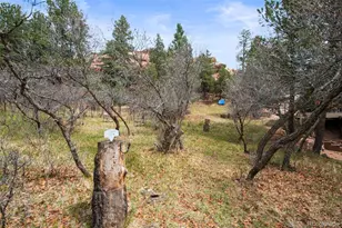6323 Pike Cir, Larkspur, CO 80118 - Photo 41