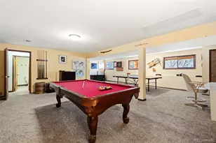 6323 Pike Cir, Larkspur, CO 80118 - Photo 37