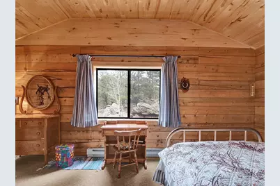 1462 Pulver Road, Lake George, CO 80827 - Photo 15