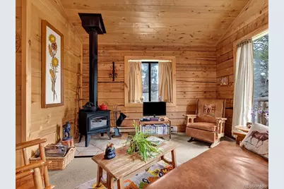 1462 Pulver Road, Lake George, CO 80827 - Photo 7