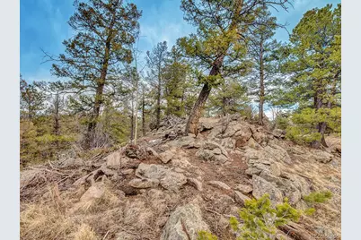 1462 Pulver Road, Lake George, CO 80827 - Photo 23