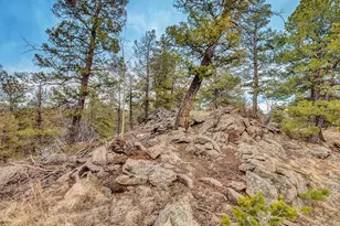 1462 Pulver Rd, Lake George, CO 80827 - Photo 23