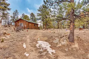1462 Pulver Rd, Lake George, CO 80827 - Photo 5