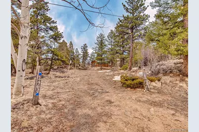 1462 Pulver Road, Lake George, CO 80827 - Photo 25