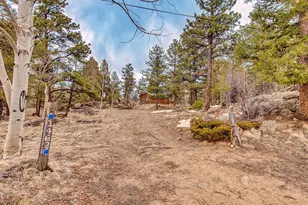 1462 Pulver Rd, Lake George, CO 80827 - Photo 25