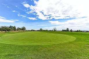 14043 Pinehurst Cir, Broomfield, CO 80023 - Photo 49