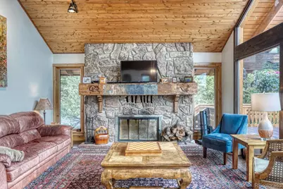 18525 Via Ponderosa Drive, Buena Vista, CO 81211 - Photo 13