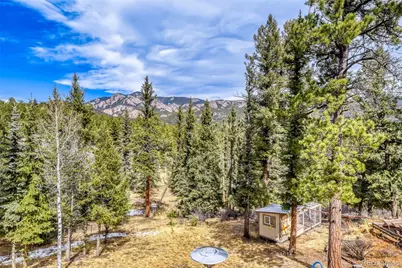 12447 S Danny Avenue, Pine, CO 80470 - Photo 23