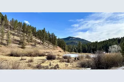 12447 S Danny Avenue, Pine, CO 80470 - Photo 27