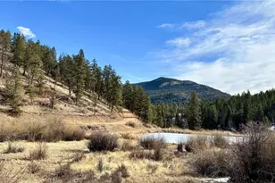 12447 S Danny Ave, Pine, CO 80470 - Photo 27