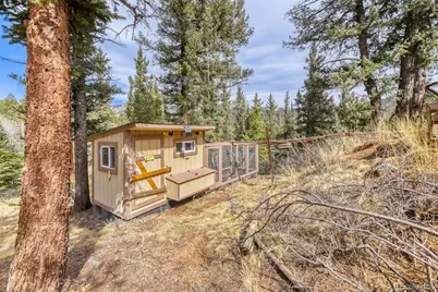 12447 S Danny Avenue, Pine, CO 80470 - Photo 21