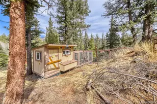 12447 S Danny Ave, Pine, CO 80470 - Photo 21