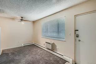 1045 N Pennsylvania Street, Denver, CO 80203 - Photo 15