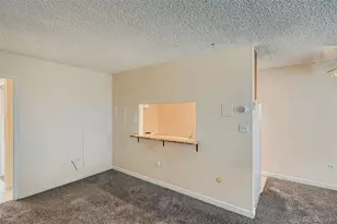 1045 N Pennsylvania Street, Denver, CO 80203 - Photo 13