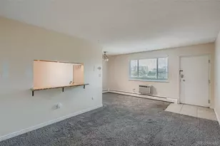 1045 N Pennsylvania Street, Denver, CO 80203 - Photo 9