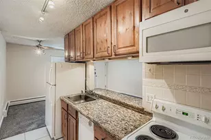 1045 N Pennsylvania Street, Denver, CO 80203 - Photo 7