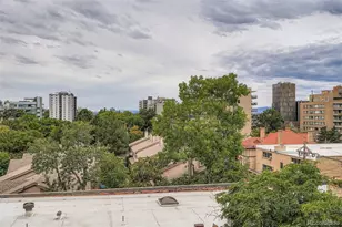 1045 N Pennsylvania Street, Denver, CO 80203 - Photo 27