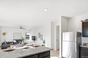 7384 Blue River Ave, Frederick, CO 80530 - Photo 19