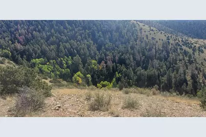 Lot 5820 Covington Road, Fort Garland, CO 81133 - Photo 5