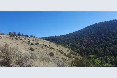 Lot 5820 Covington Road, Fort Garland, CO 81133 - Photo 3