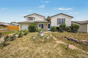 2533 W 99th Pl, Denver, CO 80260 - Photo 1