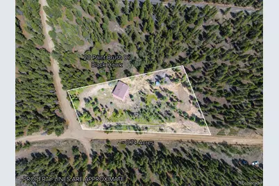 20 Paint Brush Drive, Black Hawk, CO 80422 - Photo 5