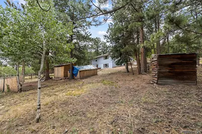 41 Yew Lane, Bailey, CO 80421 - Photo 31