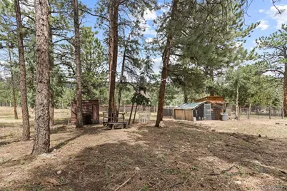 41 Yew Lane, Bailey, CO 80421 - Photo 45