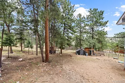 41 Yew Lane, Bailey, CO 80421 - Photo 43