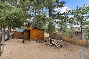 41 Yew Ln, Bailey, CO 80421 - Photo 29