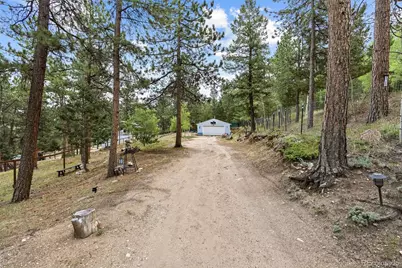 41 Yew Lane, Bailey, CO 80421 - Photo 39