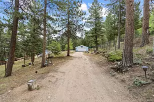 41 Yew Ln, Bailey, CO 80421 - Photo 39