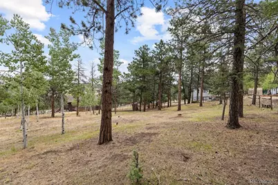 41 Yew Lane, Bailey, CO 80421 - Photo 33