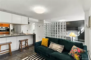 1833 N Williams St, Denver, CO 80218 - Photo 9