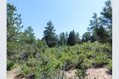 6344 Troon Court, Larkspur, CO 80118 - Photo 9