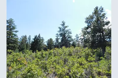 6344 Troon Court, Larkspur, CO 80118 - Photo 11