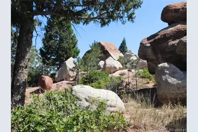 6344 Troon Court, Larkspur, CO 80118 - Photo 43