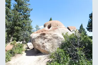 6344 Troon Court, Larkspur, CO 80118 - Photo 41