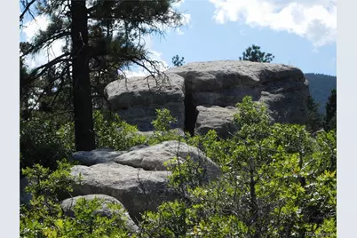 6344 Troon Court, Larkspur, CO 80118 - Photo 15