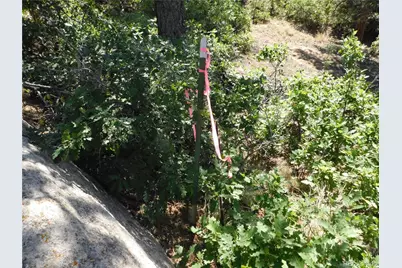 6344 Troon Court, Larkspur, CO 80118 - Photo 35