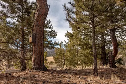 105 Ladigo Lane, Hartsel, CO 80449 - Photo 45