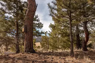 105 Ladigo Ln, Hartsel, CO 80449 - Photo 45