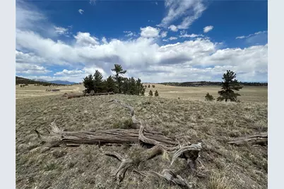 591 Singletree Court, Hartsel, CO 80449 - Photo 5