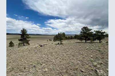 591 Singletree Court, Hartsel, CO 80449 - Photo 11