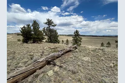 591 Singletree Court, Hartsel, CO 80449 - Photo 1